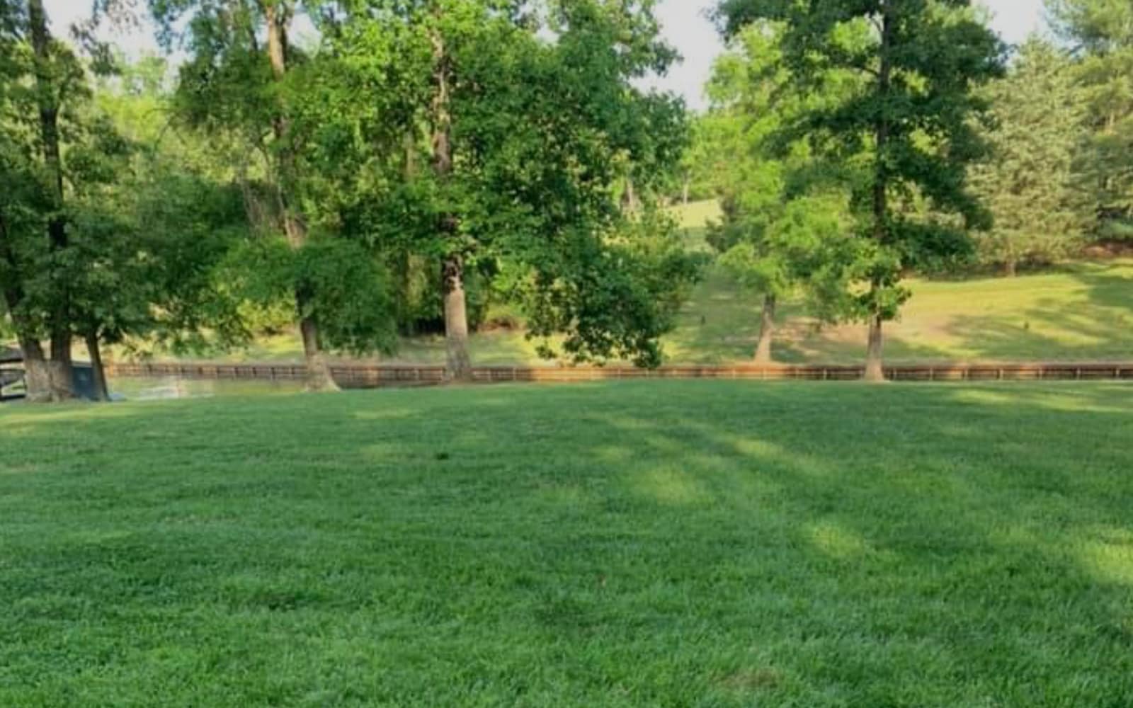 Lawn Care
